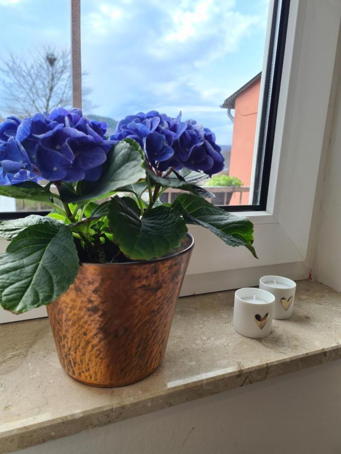 Ferienwohnung Rosenberg Oberemmel Exteriör bild